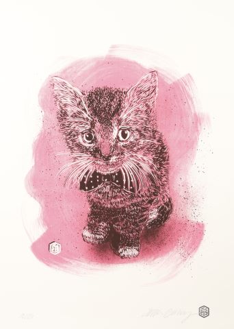 C215 (né en 1973) Charly Pink