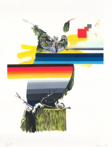 Malt Kodak Owl