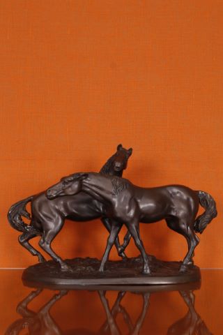 Chevaux