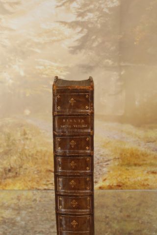 Biblia Sacra Veteris et Novi Testamenti, juxta Vulgatam, quam dicunt