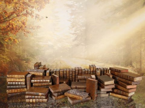 Ensemble comprenant environ 80 livres :