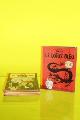 Les Aventures de Tintin