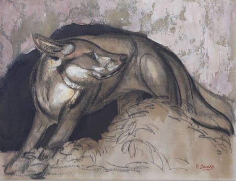Renard surpris
