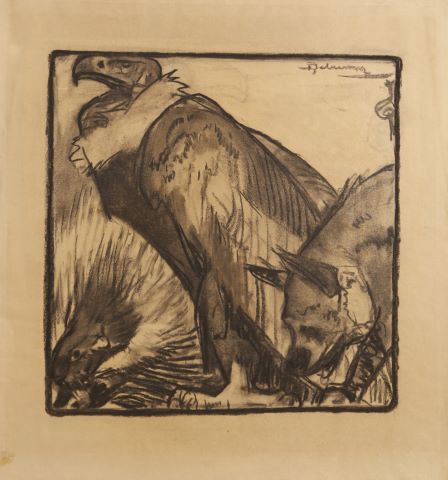 Le Condor