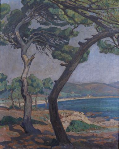 Paysage marin