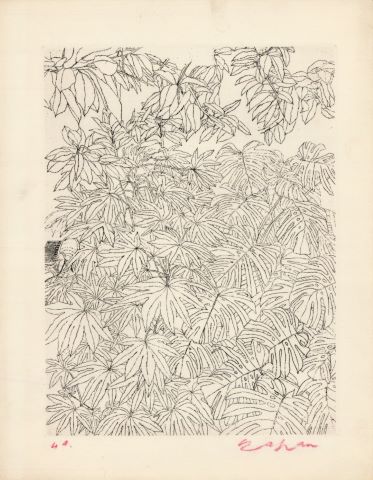 Feuillages