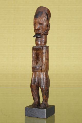 Figure Teke