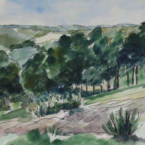 Paysage