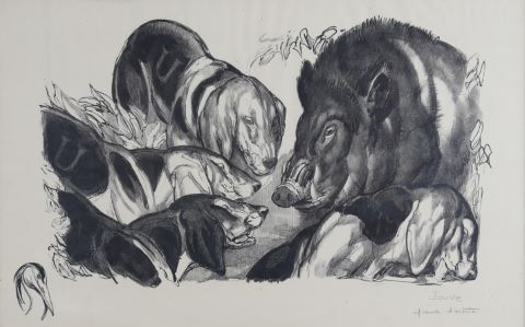 Sanglier au ferme