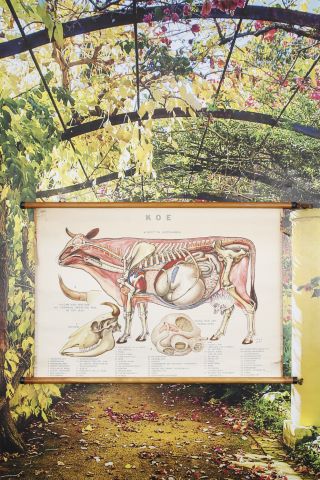 3 anciennes affiches d’école
