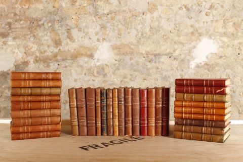 Fort ensemble de 65 volumes dont :