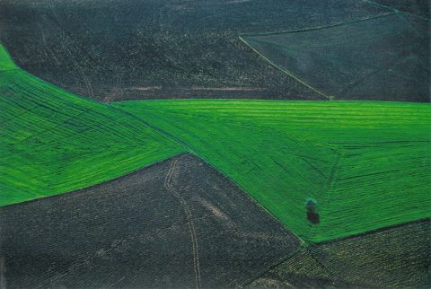 Yann Arthus-Bertrand (1946) Le Champ