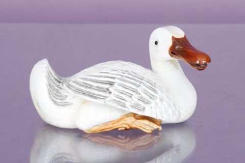 Chine Canard