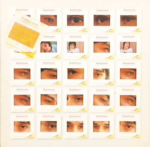 John Cale - The Academy in peril