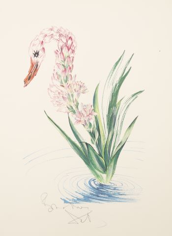 Les Fleurs Surréalistes, avant la lettre