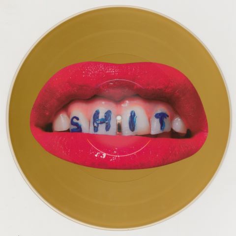 Maurizio Cattelan & Toiletpaper 2 picture disc
