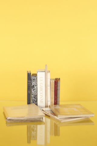 Ensemble de 12 livres comprenant :