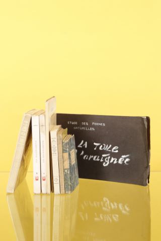 Ensemble de livres comprenant :