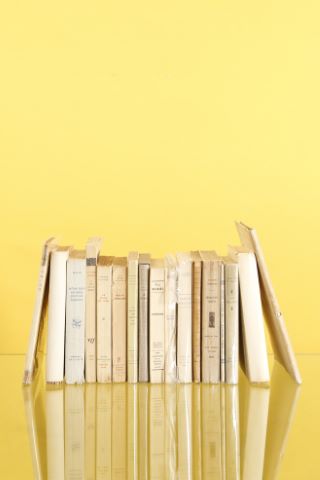 Ensemble de livres comprenant :