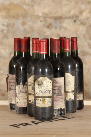 Ensemble de 12 bouteilles comprenant :