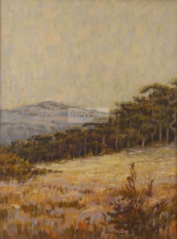 Roland Delbosco (né en 1926) Provence