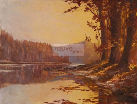 Forêt au bord de l'eau