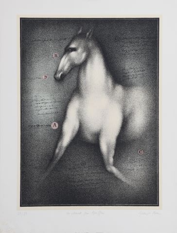 Georges Bru (né en 1933) Un Cheval pour Buffon