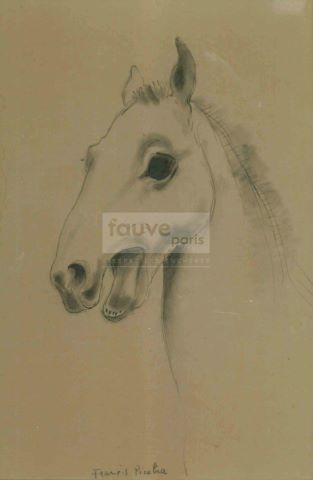 Étude de tête de cheval