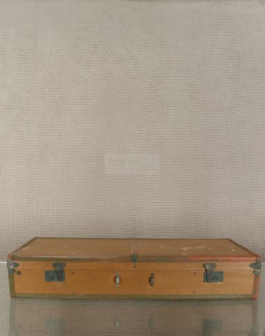 Moynat Malle plate d’automobile