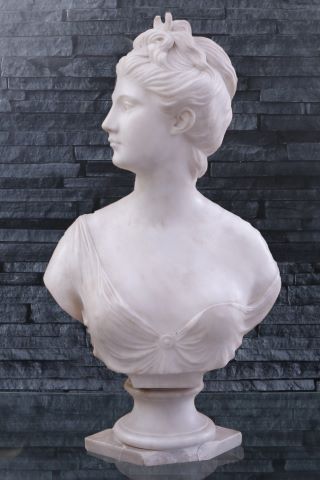 D’après Jean-Antoine Houdon (1741-1828) Buste...