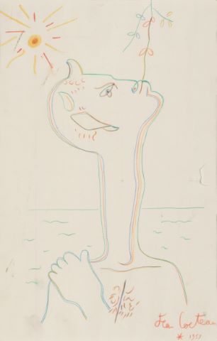 Faune au long cou