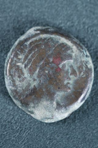 Quatre-vingt Drachmes ou Octochalque (51-30 avant J.C)