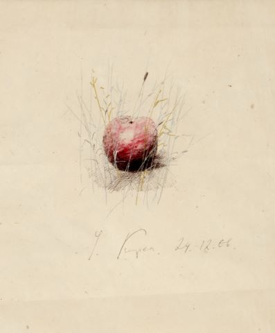Cerise