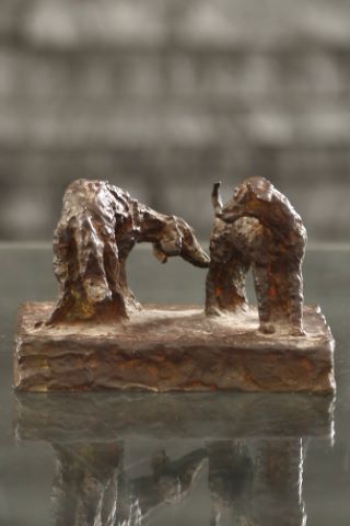 Deux chiens