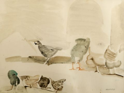 Favre (XXe siècle) Oiseaux