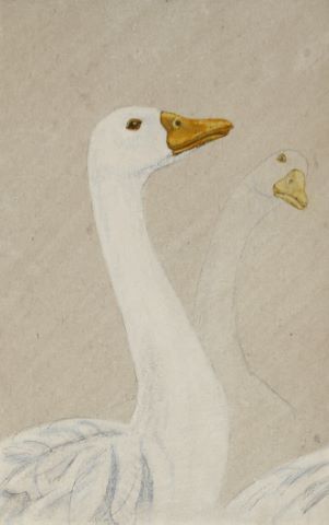 Jean-François Fourtou (né en 1964) Deux oies