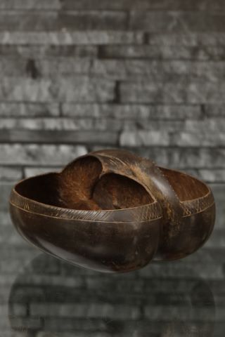 Coco-fesse formant panier