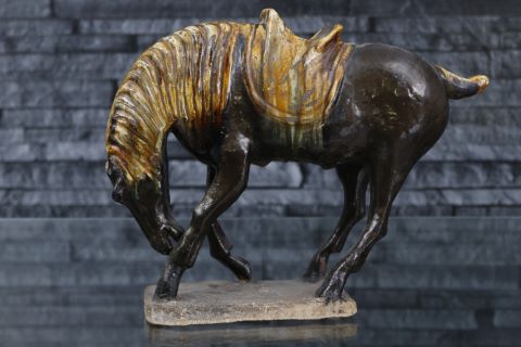 Chine Cheval