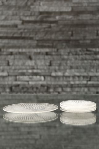 6 assiettes Lignes n°5