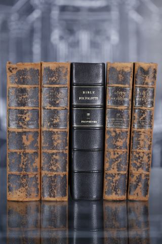 Polyglotten Bibel zum praktischen handgebrauch (Bible polyglotte)