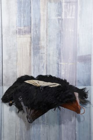Ensemble de 6 éventails en plumes