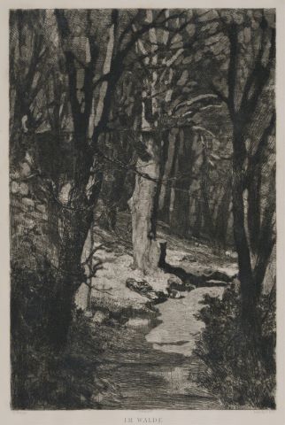 Im Walde, sixième planche de l’Opus IX Dramen