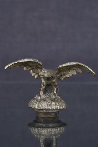 Mascotte automobile - Aigle déployant ses ailes