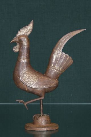 Iran, art Qajar Coq
