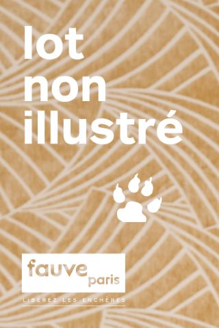 Ensemble de fourrures