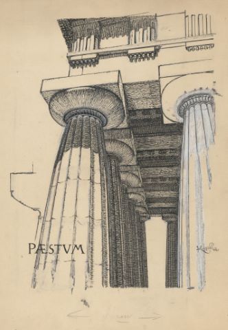 Colonnes doriques du temple de Pæstum