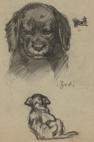 Études de moineaux (au recto) et de chien (au verso
