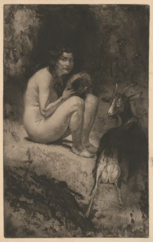 La Fée des bois