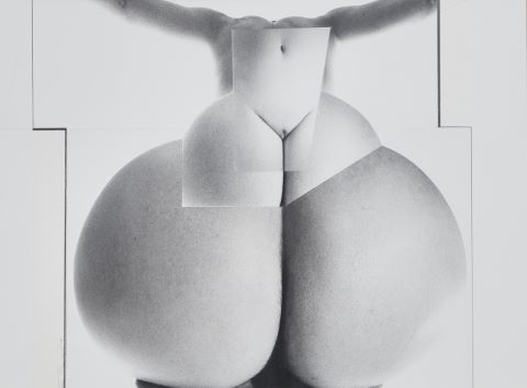 Sexe féminin