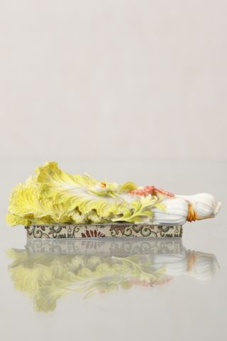 Chine Sauterelle sur un chou chinois